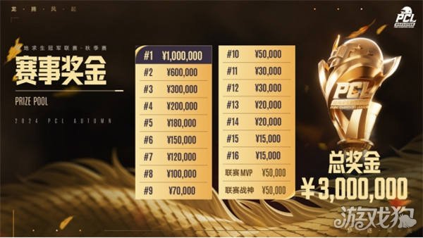 促进国际合 促进国际合